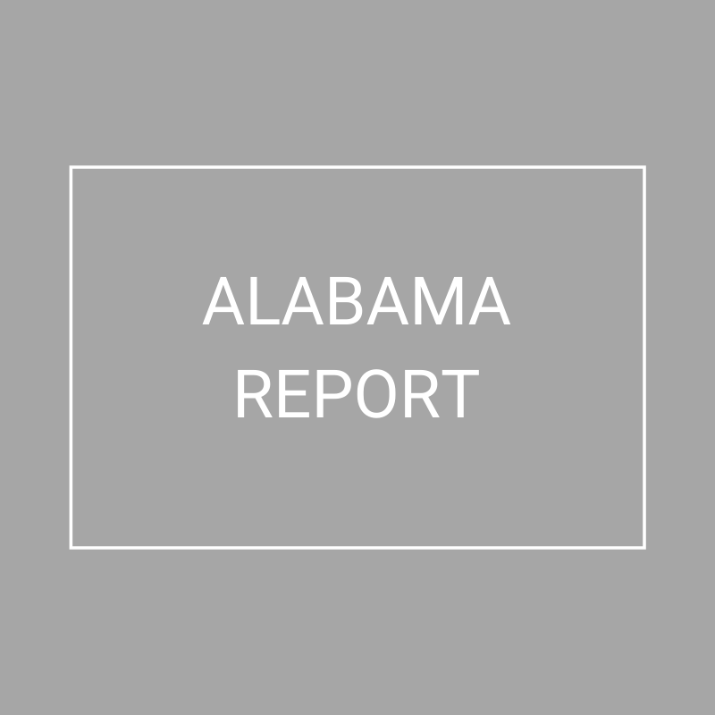 Alabama - 2021 Plan Year Supplemental Benefits Report