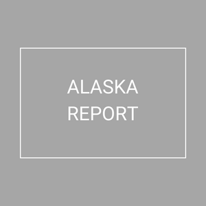 Alaska - 2021 Plan Year Supplemental Benefits Report