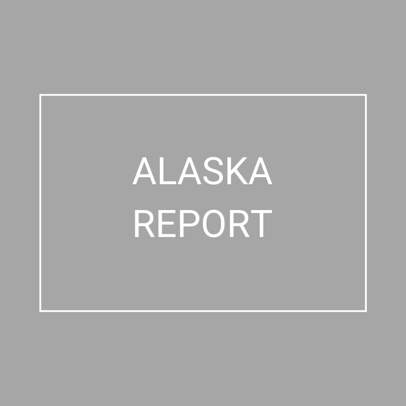 Alaska - 2021 Plan Year Supplemental Benefits Report