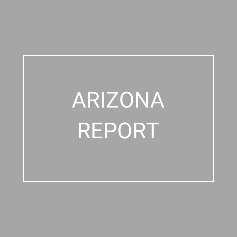 Arizona - 2021 Plan Year Supplemental Benefits Report