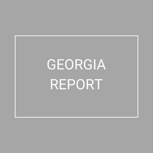 Georgia - 2021 Plan Year Supplemental Benefits Report