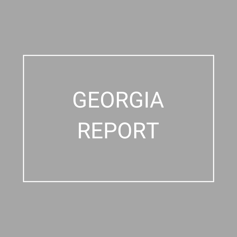 Georgia - 2021 Plan Year Supplemental Benefits Report