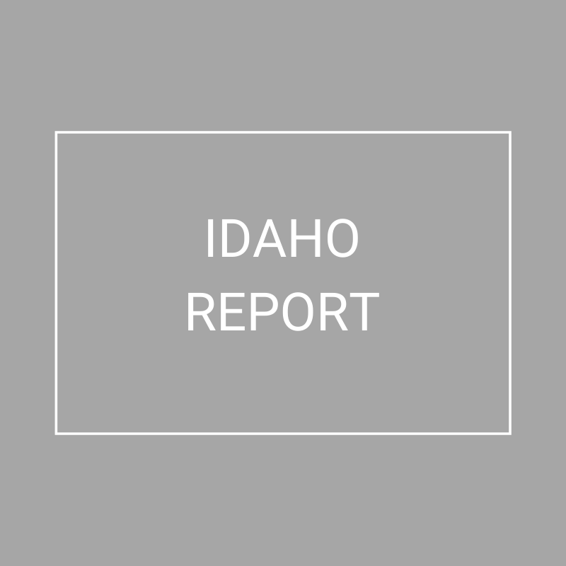 Idaho - 2021 Plan Year Supplemental Benefits Report