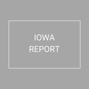 Iowa - 2021 Plan Year Supplemental Benefits Report