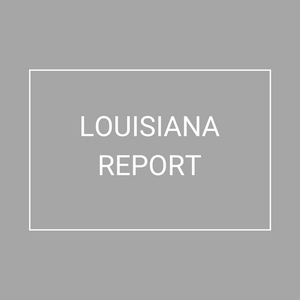 Louisiana - 2021 Plan Year Supplemental Benefits Report