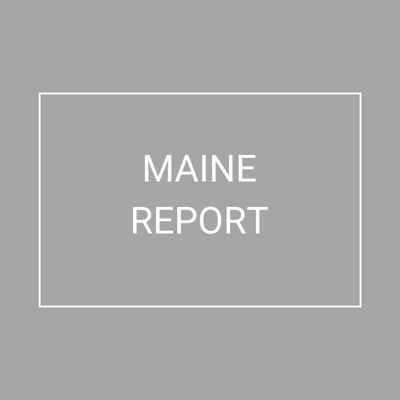 Maine - 2021 Plan Year Supplemental Benefits Report