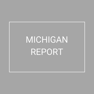 Michigan - 2021 Plan Year Supplemental Benefits Report