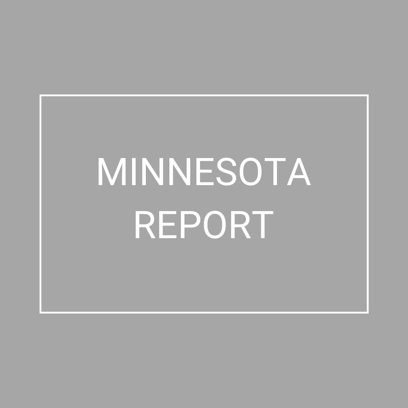 Minnesota - 2021 Plan Year Supplemental Benefits Report