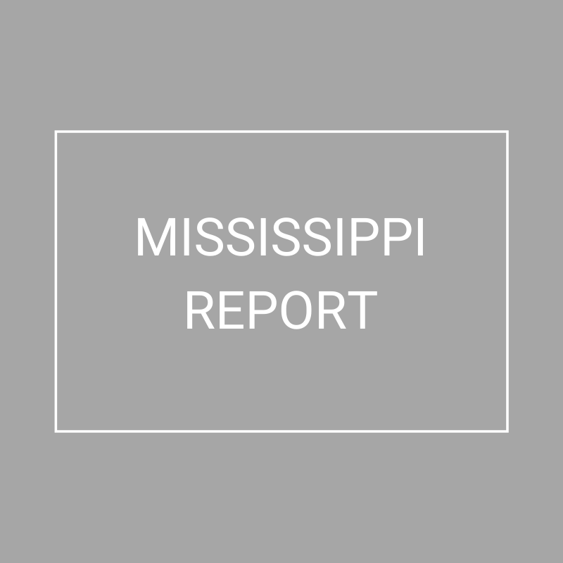 Mississippi - 2021 Plan Year Supplemental Benefits Report