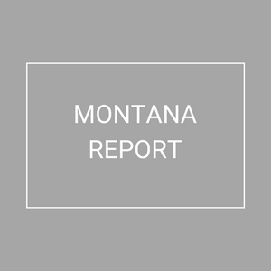 Montana - 2021 Plan Year Supplemental Benefits Report