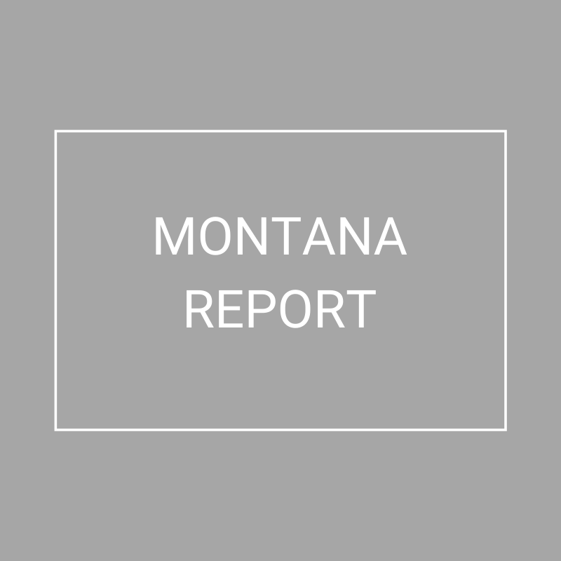 Montana - 2021 Plan Year Supplemental Benefits Report