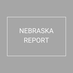 Nebraska - 2021 Plan Year Supplemental Benefits Report