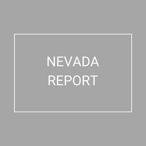 Nevada - 2021 Plan Year Supplemental Benefits Report