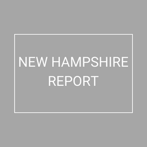 New Hampshire - 2021 Plan Year Supplemental Benefits Report