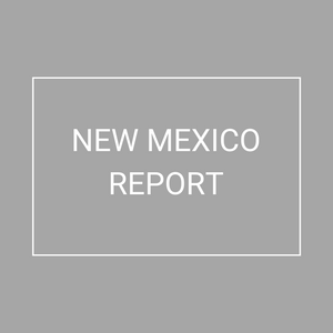 New Mexico - 2021 Plan Year Supplemental Benefits Report