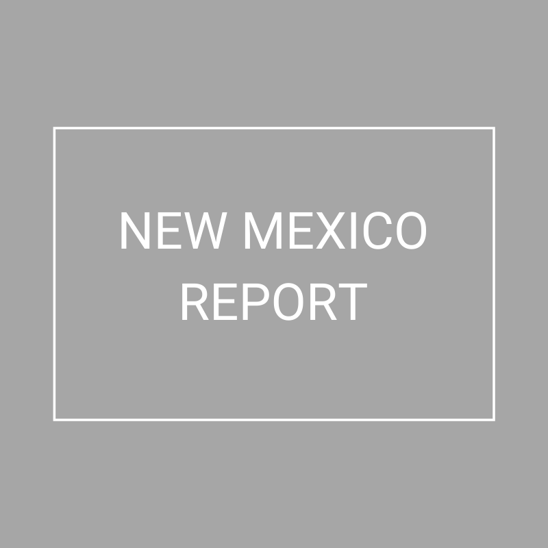 New Mexico - 2021 Plan Year Supplemental Benefits Report