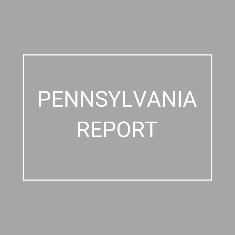 Pennsylvania - 2021 Plan Year Supplemental Benefits Report