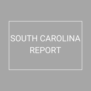 South Carolina - 2021 Plan Year Supplemental Benefits Report