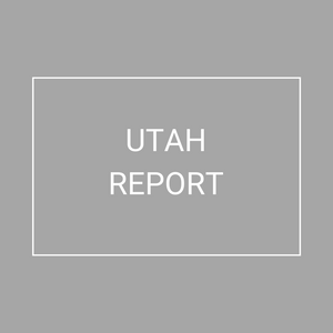 Utah - 2021 Plan Year Supplemental Benefits Report