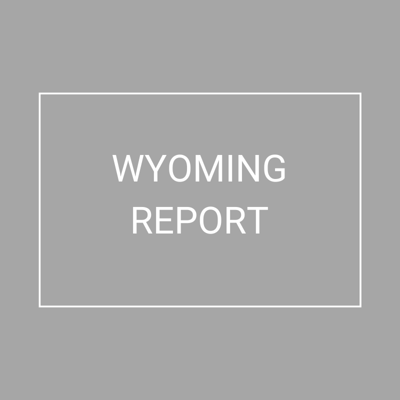 Wyoming - 2021 Plan Year Supplemental Benefits Report